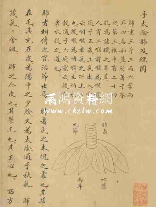 中醫古籍 十四經穴歌.1卷.鈔本.清代