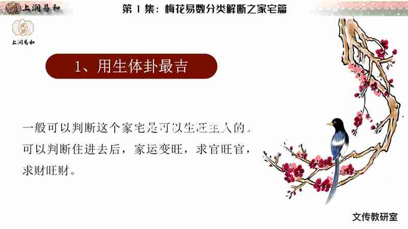 徐炳昕梅花易數中級班課程視頻12集