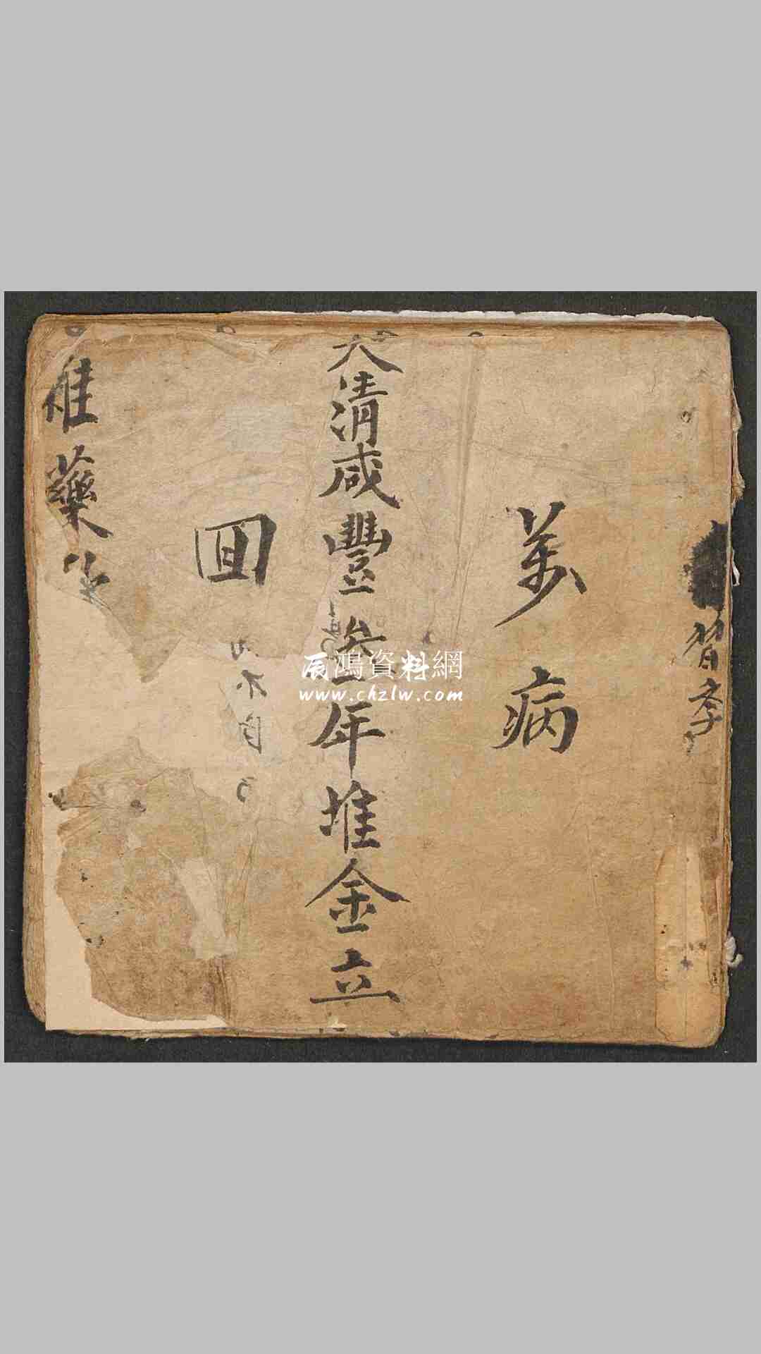 程祥清 雜藥匯集 1853年